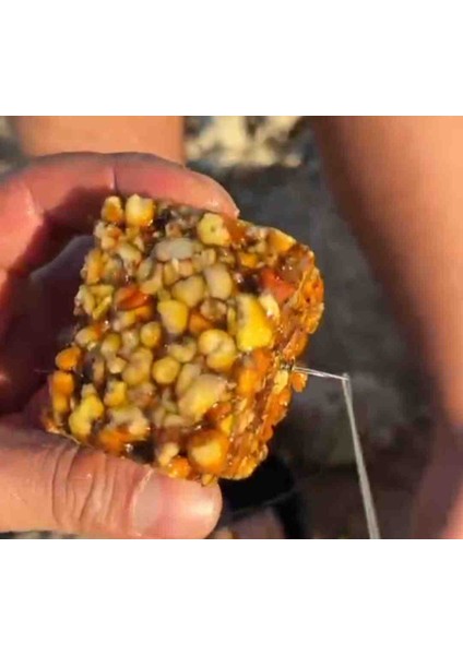 Sazan Yemleme( Balık Yemi )Sade Mısır ve Full Kokulu 8 Saat Dayanıklı Delikli Mısır Küspesi 2 Kilo Boyle Bir Kusbe Görünmedi fırsatları