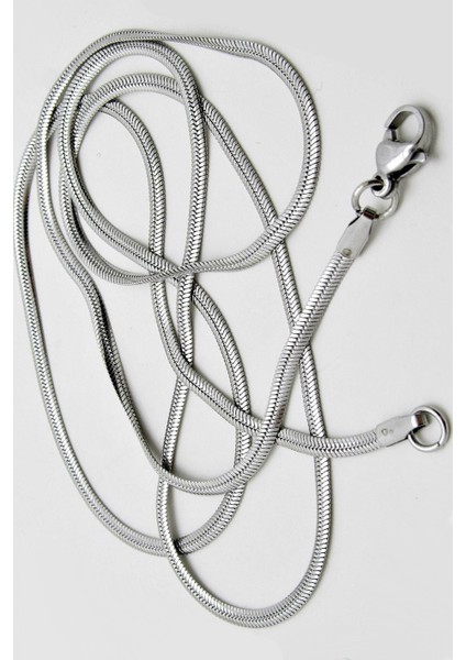 Italyan Yassı Yılan Balık Sırtı Model Paslanmaz Çelik Kolye SCB25K