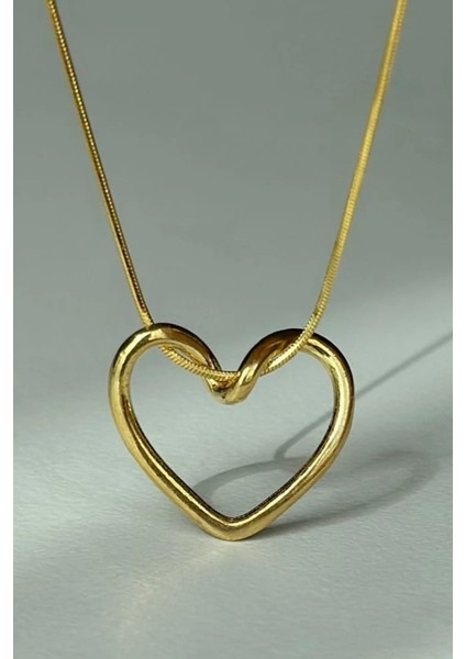 Yılan Zincirli Sarmal Kalp Aşk Düğümü Paslanmaz Çelik Kolye eck56