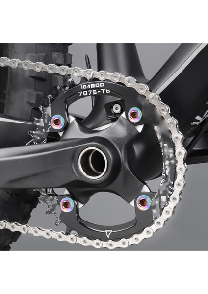 Muqzı 5 Adet Renkli Zincir Dişlisi Cıvata Seti 6,5 mm (Yurt Dışından) modelleri