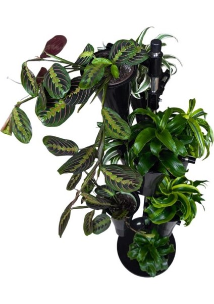 Şık Metal Iskeletli Dokuzlu Saksı Standı indirimleri