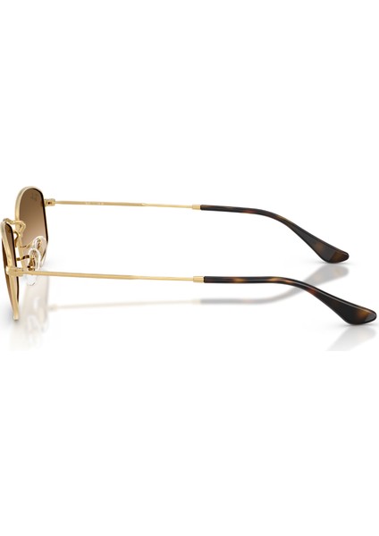 Rayban 0RB3832 001/51 52 Unisex Günes Gözlük