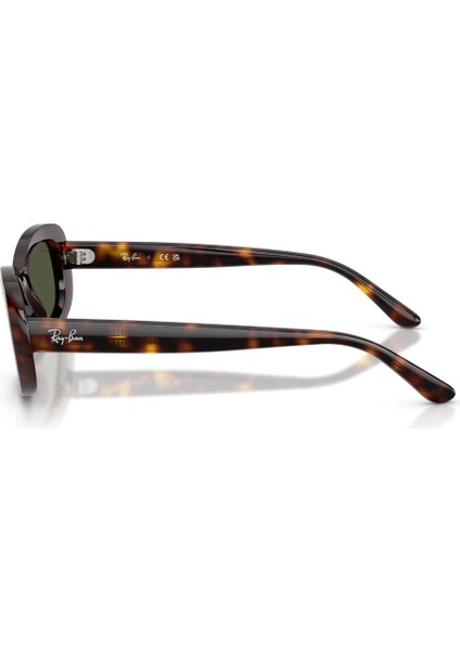 Rayban 0RB2221 902/31 53 Unisex Günes Gözlük