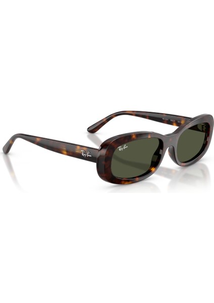 Rayban 0RB2221 902/31 53 Unisex Günes Gözlük fiyatları