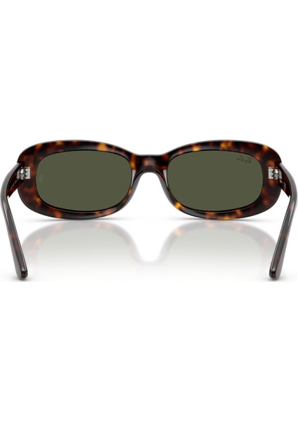 Rayban 0RB2221 902/31 53 Unisex Günes Gözlük indirimleri