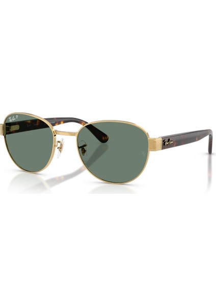 Rayban 0RB3766CH 001/O9 54 Unisex Günes Gözlük