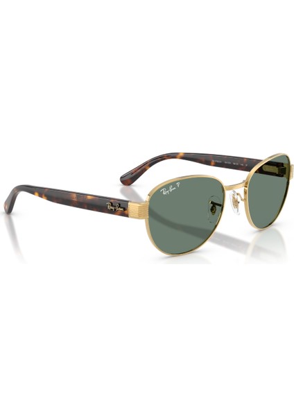 Rayban 0RB3766CH 001/O9 54 Unisex Günes Gözlük fırsatları