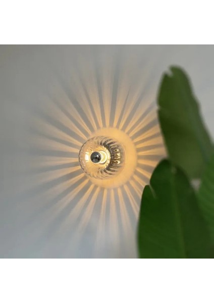 Modern Cam Duvar Aplik Aydınlatma Armatürü, E14 Ampul Uyumlu Dekoratif Lamba Yatak Odası Oturma Odası Koridor Sıcak Işık, A (Yurt Dışından) fırsatları