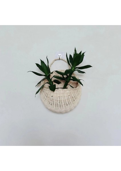 Santkuee Dokuma Asılı Dokuma Rattan Sepetleri Yetiştiricilerinin Bahçe Duvarı Dekorasyonu Duvara Monte Sepet Hasır Depolama Rafı (Yurt Dışından) modelleri