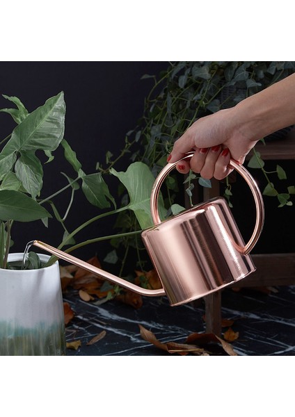 Paslanmaz Çelik Sulama Kayıtıcısı Ev Bahçe Su (Yurt Dışından) fiyatları