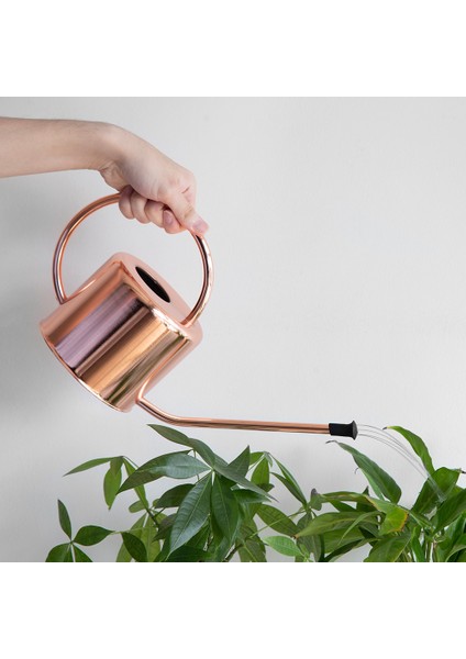 Paslanmaz Çelik Sulama Kayıtıcısı Ev Bahçe Su (Yurt Dışından) indirimleri