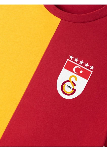 Lisanslı 5 Yıldızlı Parçalı Bayrak Logolu T-Shirt modelleri