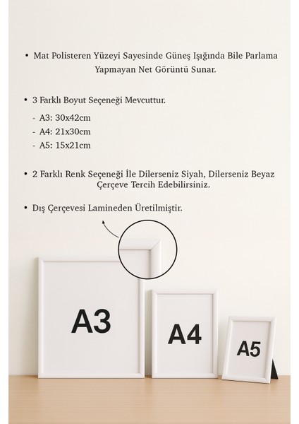 Kişiye Özel Babyflix Film Afiş Anı Tablosu, Lamine Çerçeveli Fotoğraf Baskılı Tablo modelleri