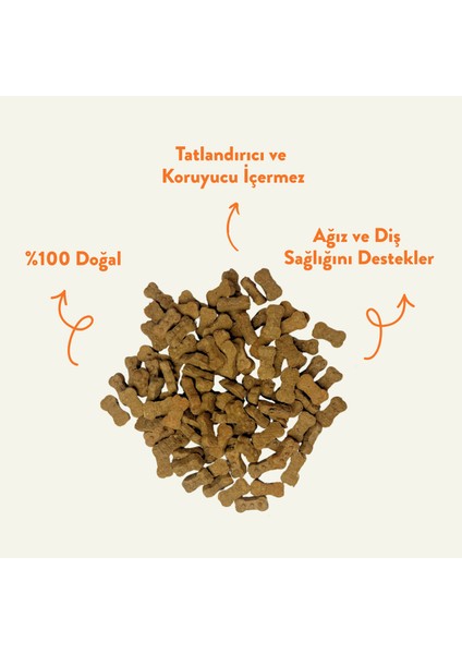 Muz & Balkabağı Cookie 100 gr (Köpekler Için Ödül Kurabiyesi) fiyatları