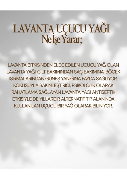 Lavanta Uçucu Yağı fiyatları