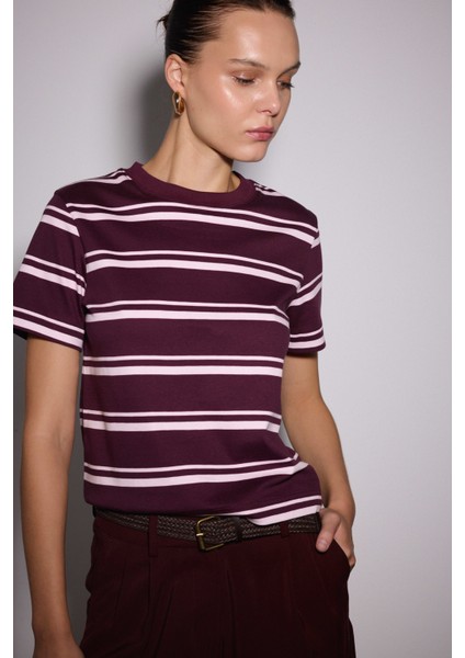 Çizgili Regular Basic Tshirt fiyatları