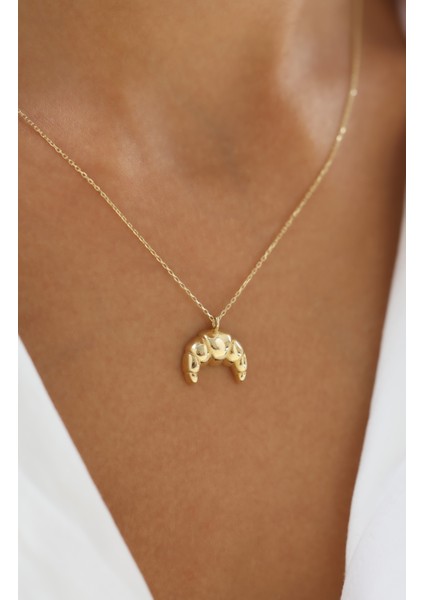 Trend Kruvasan Model 14 Ayar Altın Kolye fiyatları