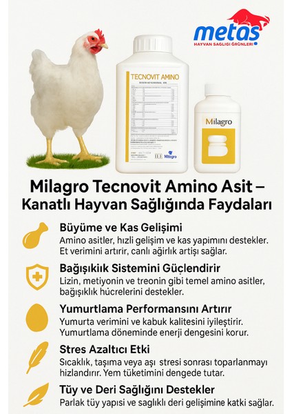 Tecnovit Amino fırsatları
