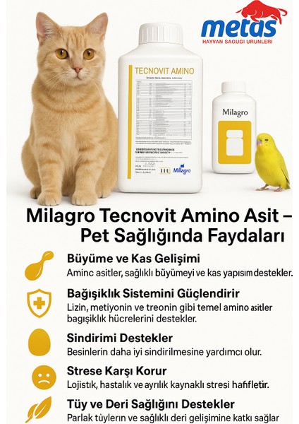 Tecnovit Amino indirimleri