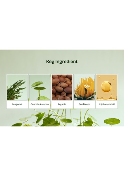 Mugwort Zero Film Cleansing Oil 200ML – Zero Film Teknolojili Makyaj Temizleme Yağı