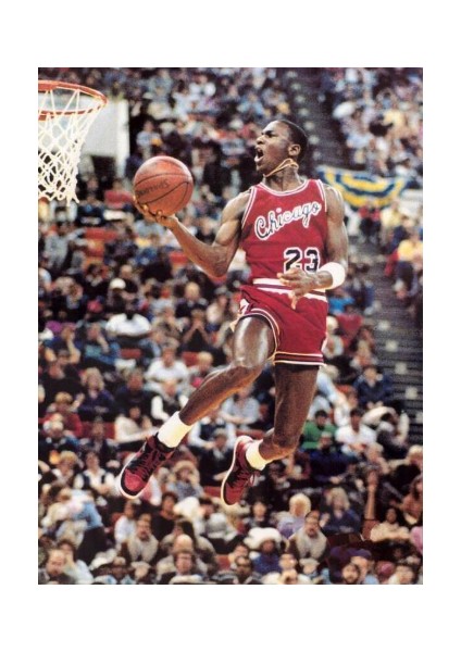 Chicago Bulls Nakışlı Nubuk Spor Şapka fırsatları