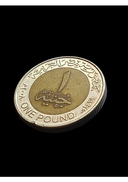 Mısır1 Pound Yabancı Koleksiyon Madeni Para. Antika Para.