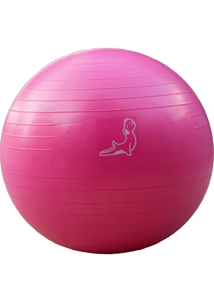 65 cm Pembe Pilates Topu