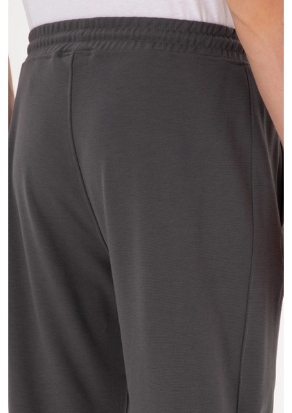 Erkek Gri Eşofman Altı 50316404-VR024