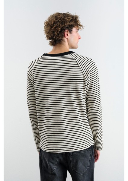 Kontrast Yakalı Çizgili Siyah T-Shırt fiyatları