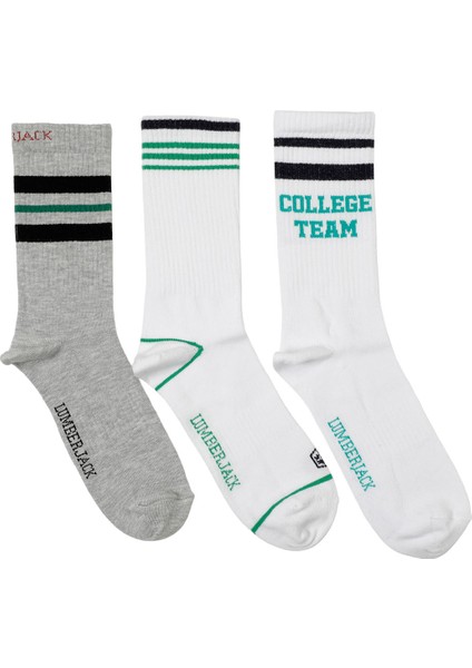 ml TEAM-003 3lu 34US1 5pr Çok Renkli Erkek Soket Çorap