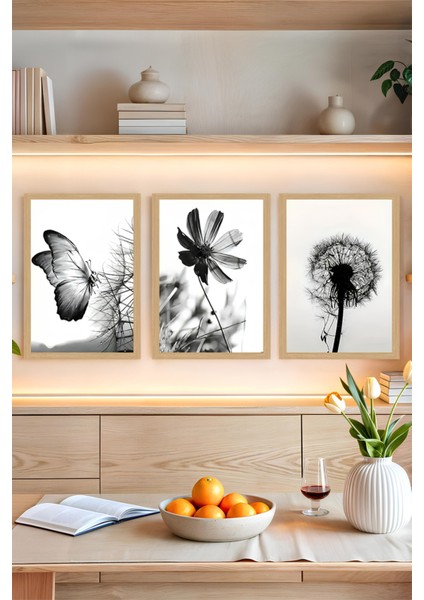 🖤 Siyah Beyaz Kelebek ve Çiçek Temalı 3'lü Uv Baskılı Tablo Seti (Çerçevesiz) CRVS1060 13 x 17