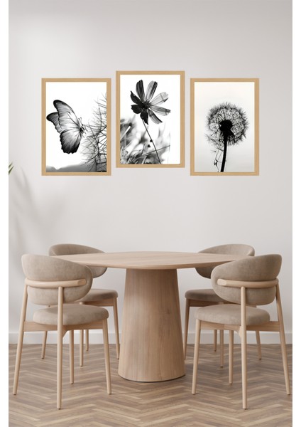 🖤 Siyah Beyaz Kelebek ve Çiçek Temalı 3'lü Uv Baskılı Tablo Seti (Çerçevesiz) CRVS1060 13 x 17 fiyatları