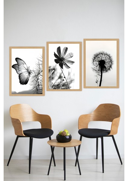 🖤 Siyah Beyaz Kelebek ve Çiçek Temalı 3'lü Uv Baskılı Tablo Seti (Çerçevesiz) CRVS1060 13 x 17 modelleri