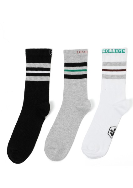 ml College 3lu 34US1 5pr Çok Renkli Erkek Soket Çorap