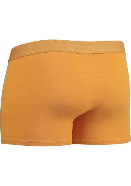 Safran Pamuklu Boxer fiyatları