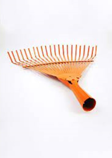 Sabit Düz Yaprak Tırmığı Turuncu