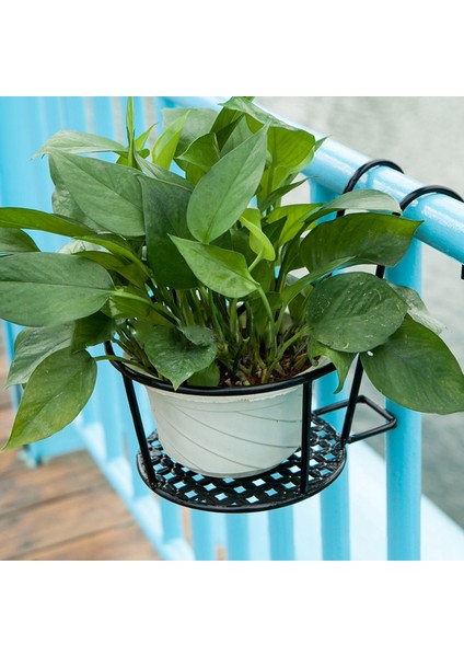 Santkuee Balkon Oturma Odasında Asılı Orkide Saksı Bitki Duvar Asılı Demir Çiçek Rafı A (Yurt Dışından) fırsatları