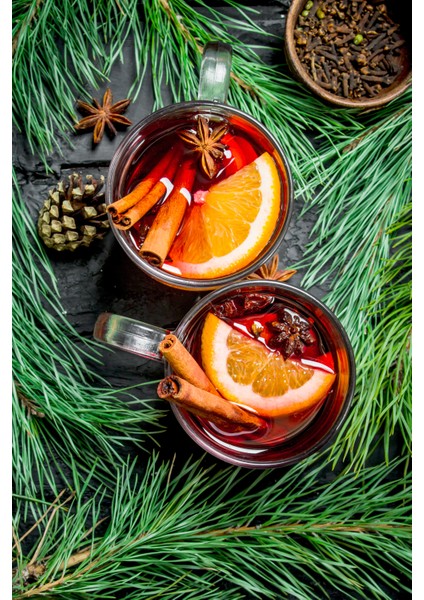 Kış Çayı & French Press Seti fiyatları