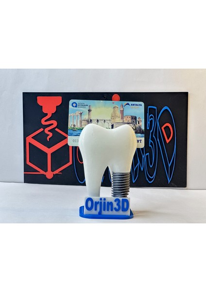 ORJIN3D Kişiye Özel Tasarlanabilir Diş Şeklinde Tek Ayağı Implant Kartvizitlik fiyatları