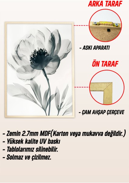 🖼️ Siyah Beyaz Şeffaf Çiçek Temalı 3’lü Çerçeveli Tablo Seti 🌿 CRV1111 23 x 32