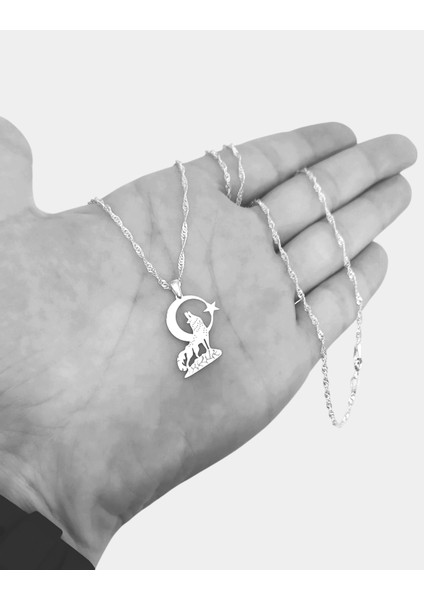 - 925 Ayar Gümüş Bozkurt Ayyıldız Kolye fiyatları