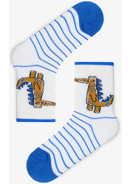 Erkek Çocuk Dino Friends Dinozor Desenli 4'lü Soket Çorap
