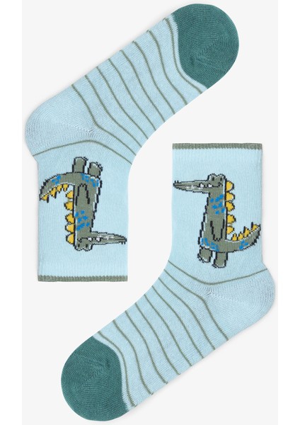 Erkek Çocuk Dino Friends Dinozor Desenli 4'lü Soket Çorap