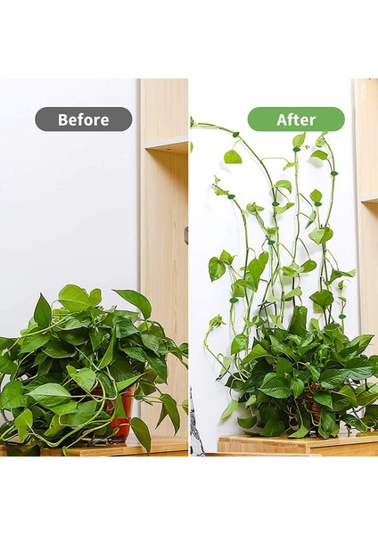 Santkuee 100 Adet Bitki Tırmanma Duvarı Fikstür Klipleri, Bahçe Duvarı Için Yeşil Yaprak Klip, Duvar Dekor Için Vines Çekiş Görünmez Tutucu (Yurt Dışından) indirimleri