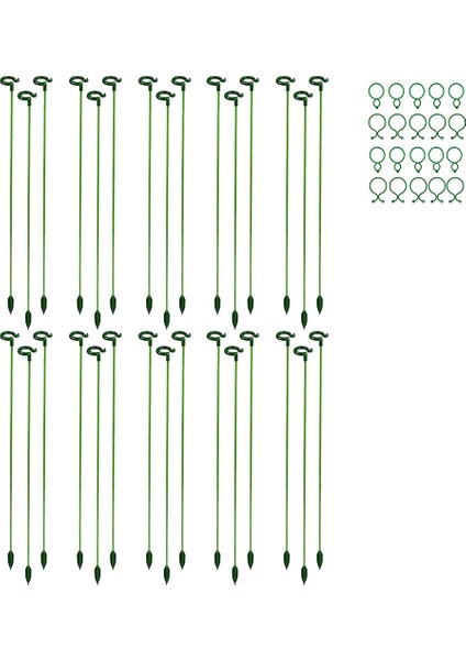 Santkuee 30 Adet Bitki Desteği Sebzeler, Çiçekler, Bitkiler, Bitki Büyümesi Için Tırmanma Ağı Için Köklü Bahçe Çiçek Desteği (Yurt Dışından)