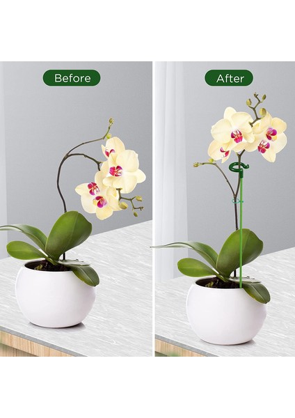 Santkuee 30 Adet Bitki Desteği Sebzeler, Çiçekler, Bitkiler, Bitki Büyümesi Için Tırmanma Ağı Için Köklü Bahçe Çiçek Desteği (Yurt Dışından) modelleri