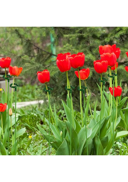Santkuee 30 Adet Bitki Desteği Sebzeler, Çiçekler, Bitkiler, Bitki Büyümesi Için Tırmanma Ağı Için Köklü Bahçe Çiçek Desteği (Yurt Dışından) indirimleri