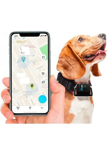 Köpek Takip Cihazı Akıllı Gprs Sistemli