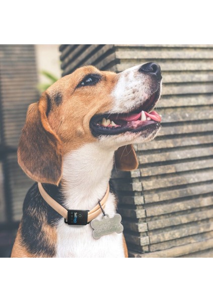 Köpek Takip Cihazı Akıllı Gprs Sistemli fiyatları