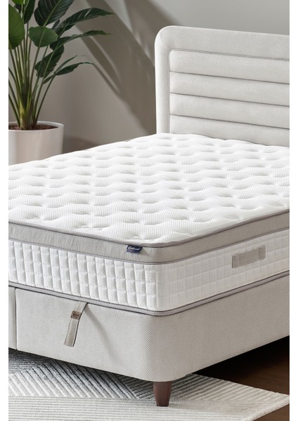 Janett Model Çift Kişilik Baza ve Başlık Seti Minimalist Tasarım, Maksimum Fonksiyon fırsatları